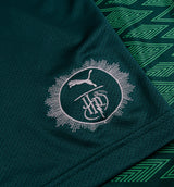 Harry Potter Slytherin Relaxed Mens Jersey - Dark Green