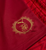 Harry Potter Gryffindor Relaxed Mens Jersey - Dark Crimson