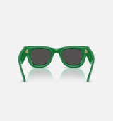 The Wayfarer Puffer by A$AP Rocky Mens Sunglasses - Green