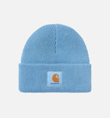 Nelson Beanie Mens Hat - Blue