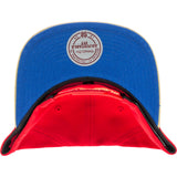 Nice Kicks X Mitchell & Ness