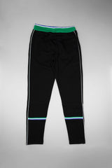 Puma X Big Sean Collection Mens Tracksuit Pant - Puma Black/Green