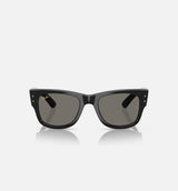 Mega Wayfarer Asap Mens Sunglasses - Black/Gold