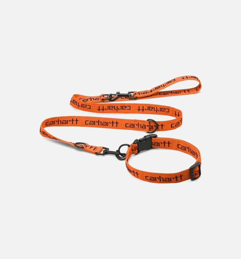 Script Dog Leash & Collar- Orange