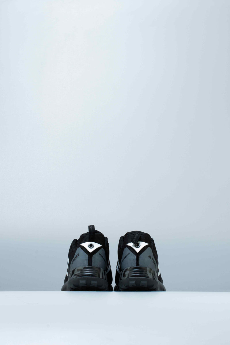 Terrex Two GTX Mens Shoe - Black/White